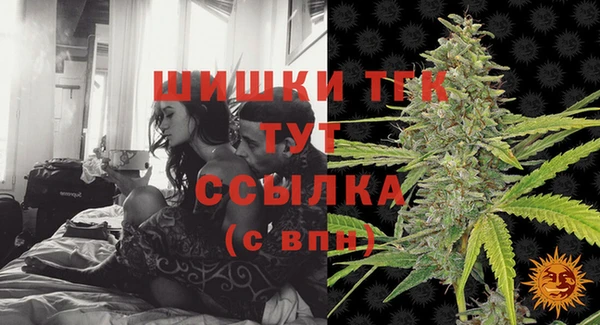 PSILOCYBIN Аркадак