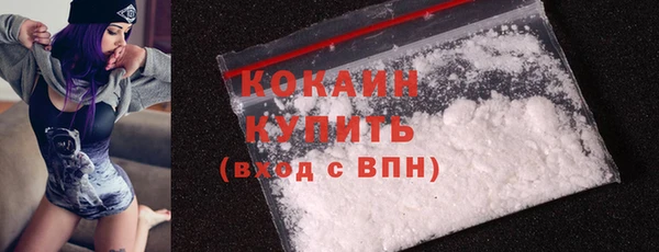 PSILOCYBIN Аркадак