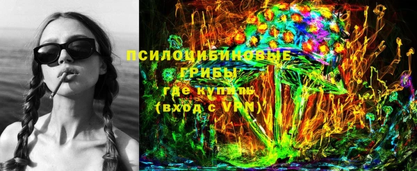 PSILOCYBIN Аркадак