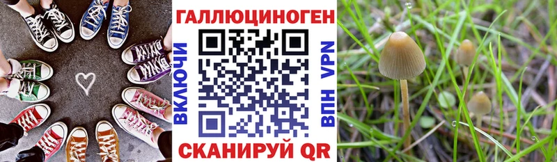 Псилоцибиновые грибы Cubensis  hydra ссылки  Бакал 